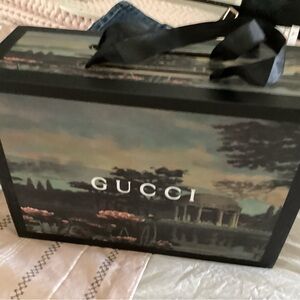 Vintage Gucci bag with great carrying box